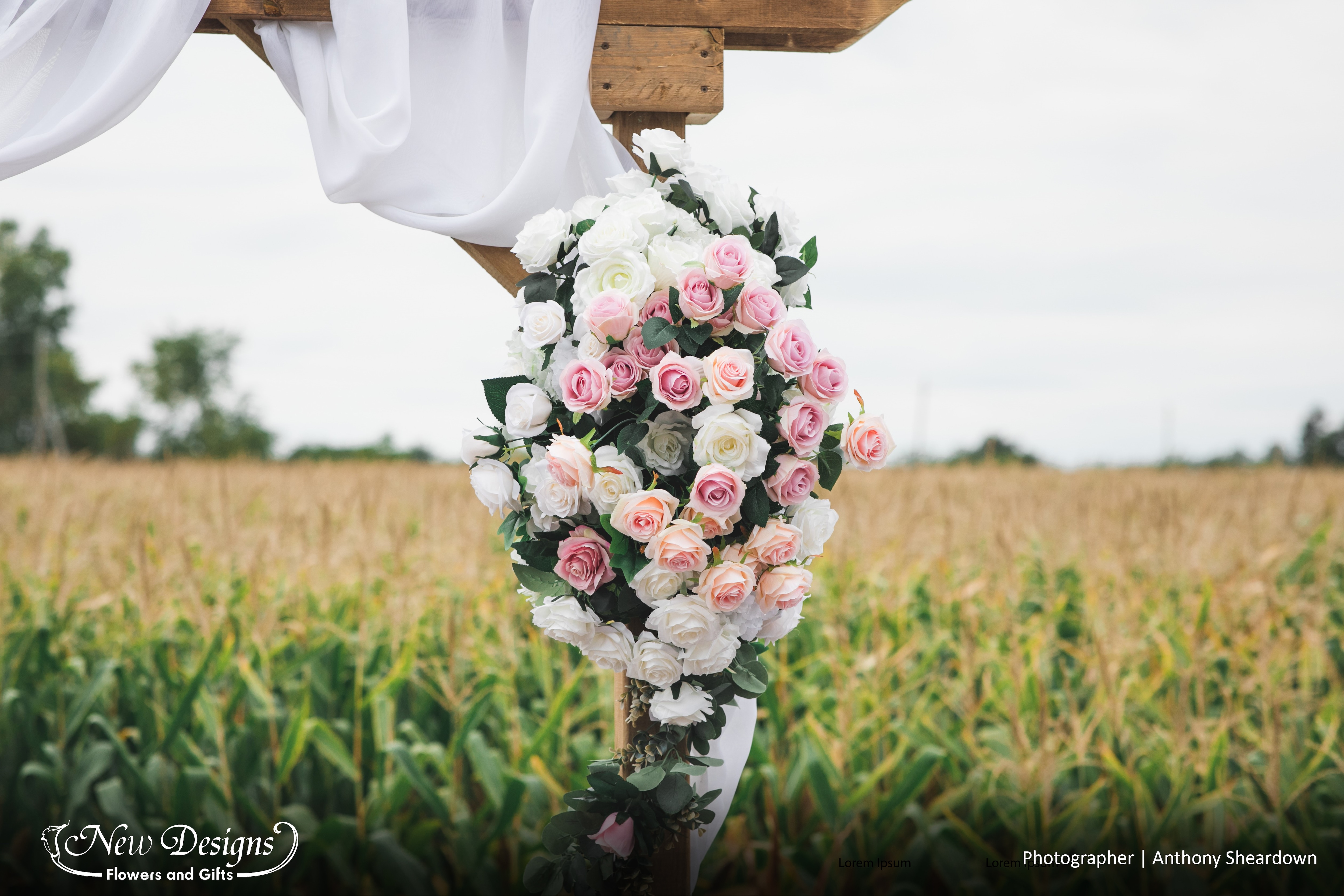 A close up of a floral installment on a Wooden Square Arch, against a wheat field. White Chiffon Drapes around the wood arch, and the neat Floral arrangement is full of Lush roses in White, Cream and Pink